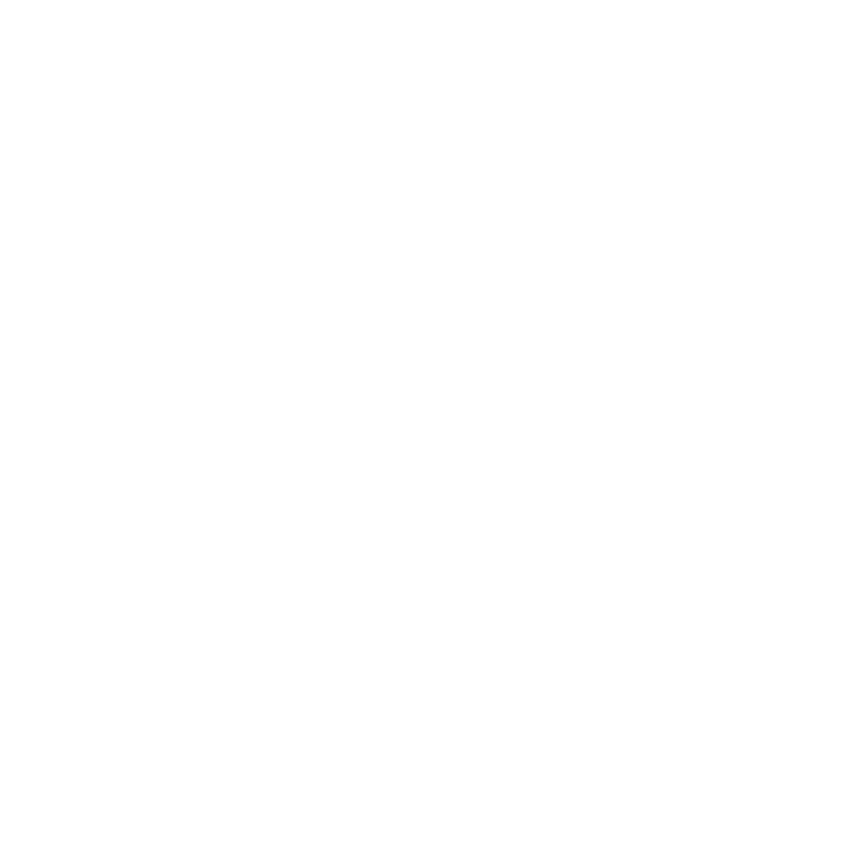 NORVEX PARTNERS