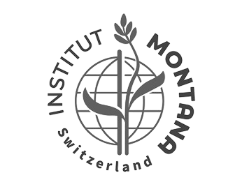 Логотип Institut Montana Zugerberg