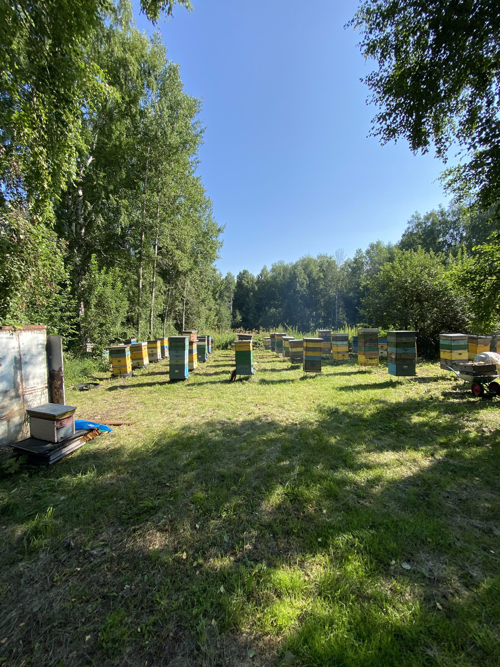Фото пасеки Левченко в Алтайском крае