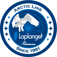 website icon