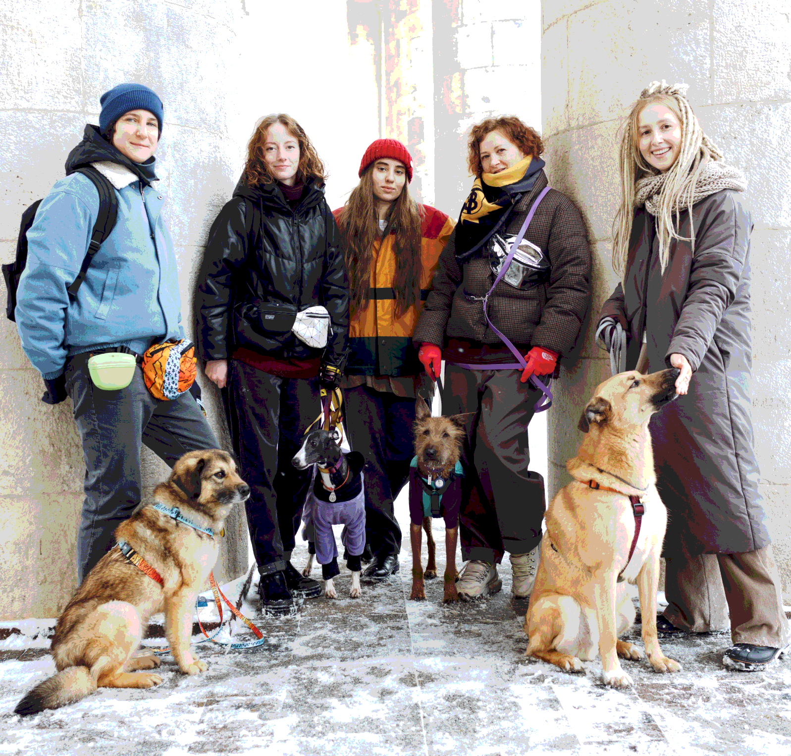 стихотворение залаяли собакин. как появилась первая собака на земле. цитаты про собак. высказывания о собаках. год собаки как писать.