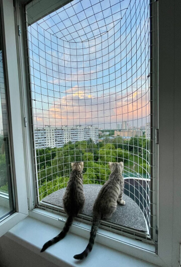 Балкон кошек «Васька» с открытой крышей