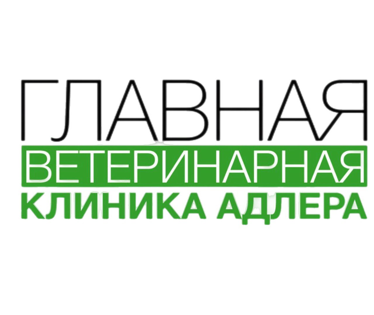 Company
