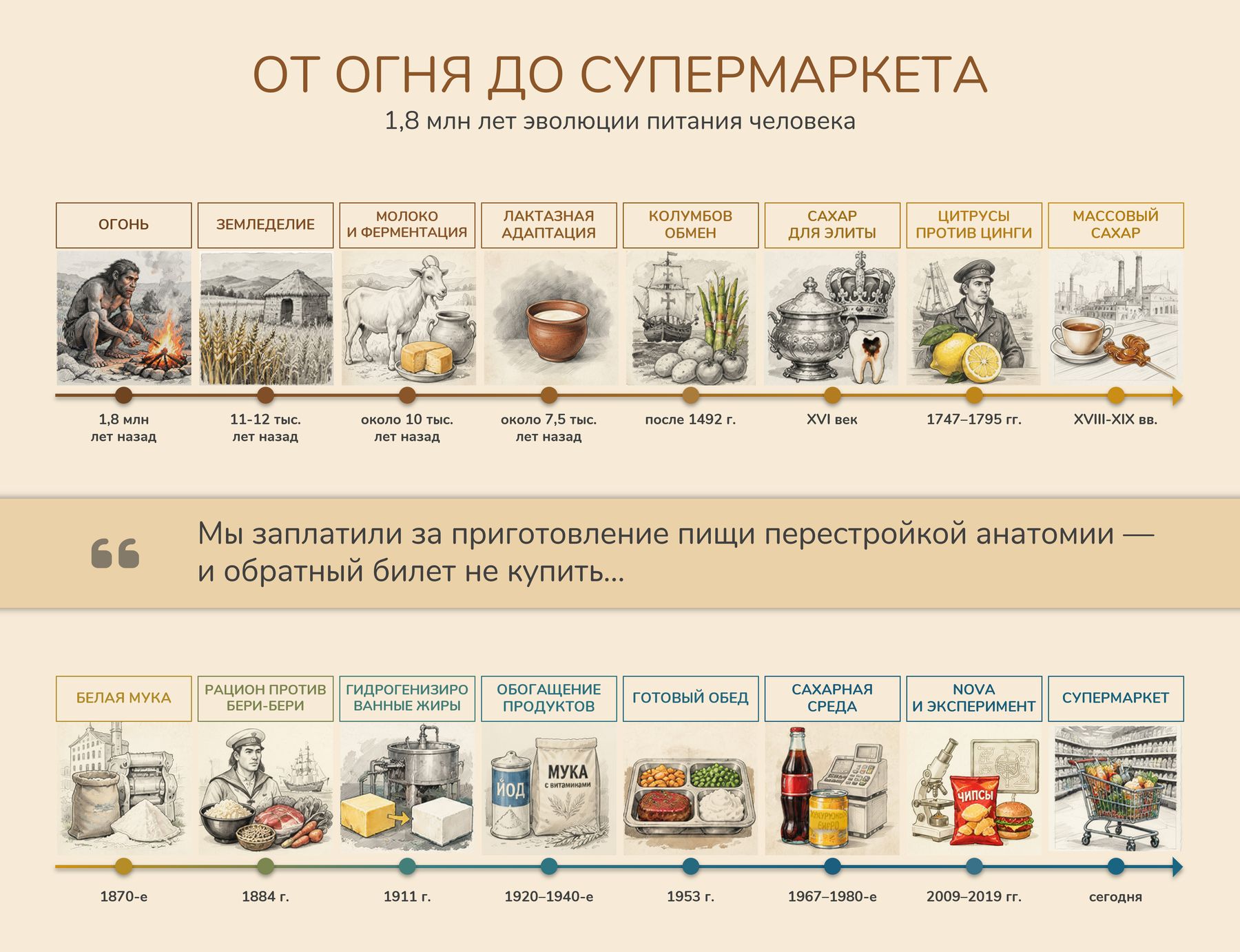 Инфографика «От огня до супермаркета: 1,8 млн лет эволюции питания человека» — шестнадцать вех от огня до супермаркета