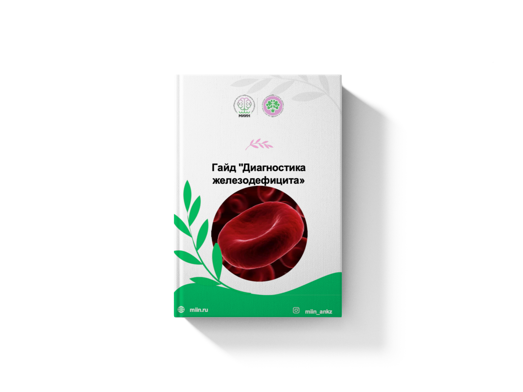 [19.09] Анемия в практике нутрициолога