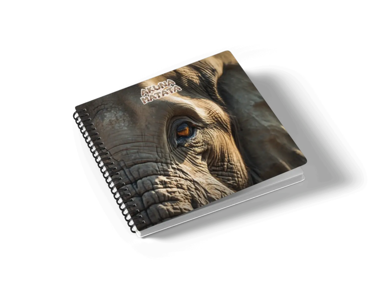 Презентация тура в ЮАР от Akuna Matata Trip