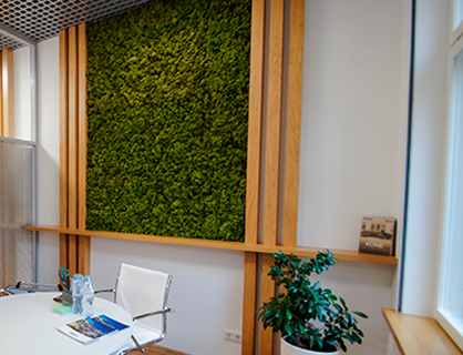 фитостена в офисе