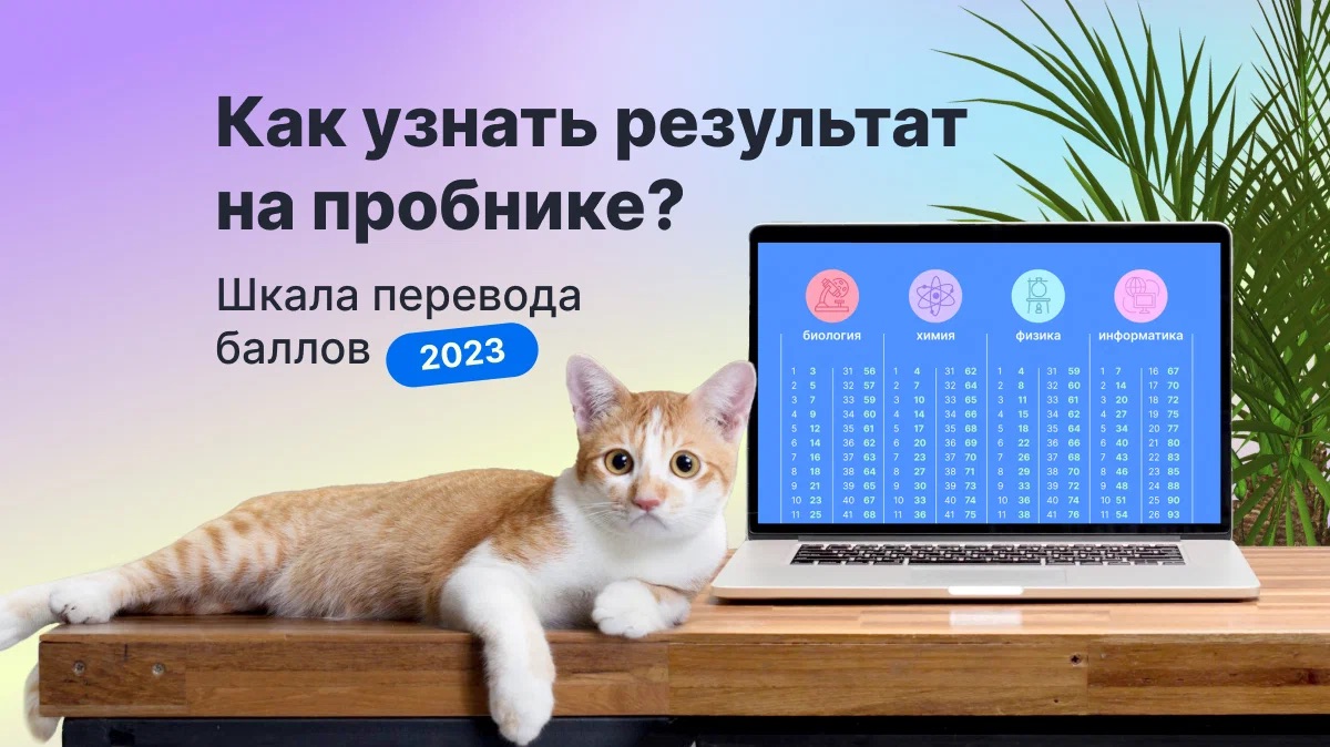 Как узнать результат на пробнике? Шкала перевода баллов 2023