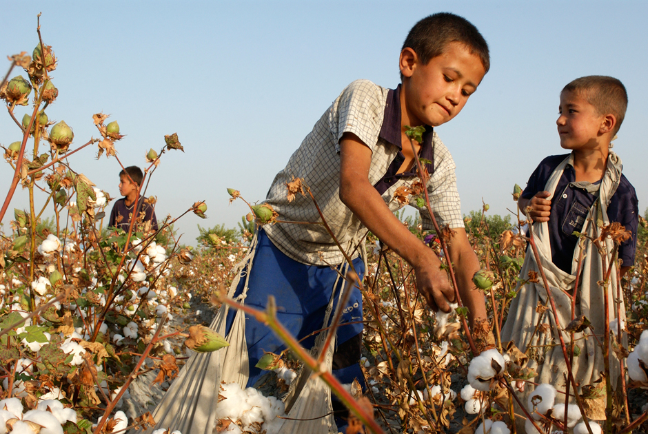 Проблема детского труда остается одним из наиболее острых социальных вопросов, с которыми сталкивается текстильная промышленность Турции.