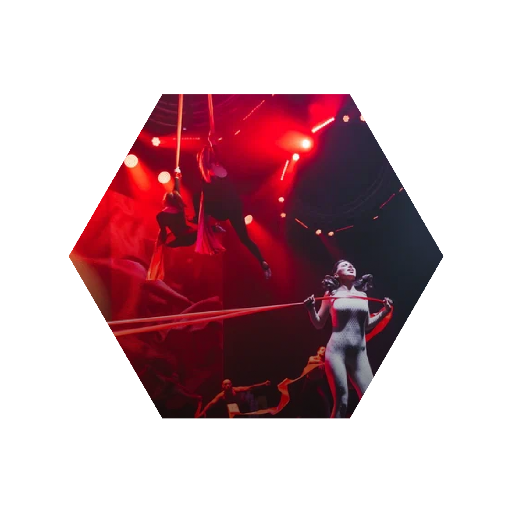 Шоу Элины Жгенти