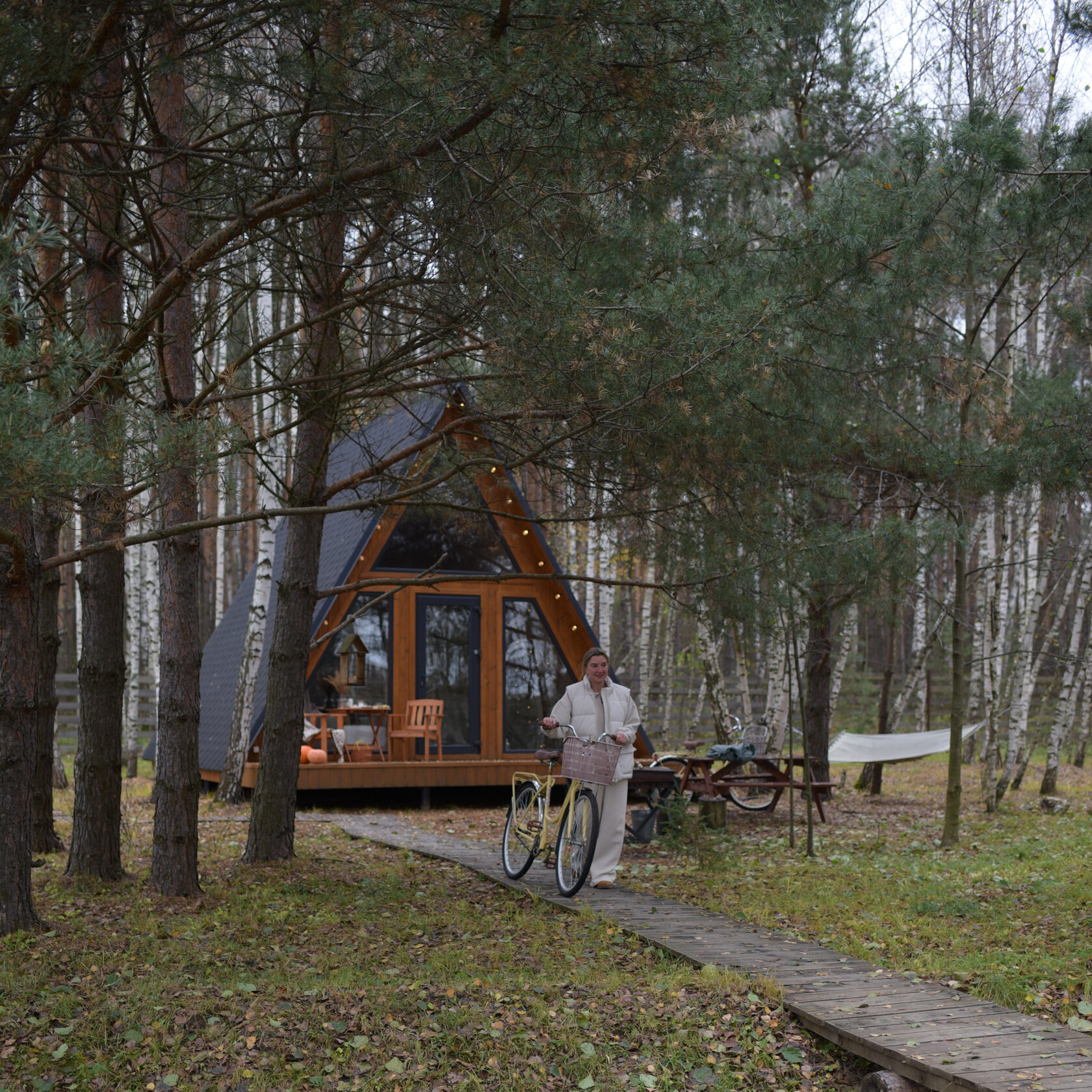 Снять треугольный A-Frame домик в Подмосковье