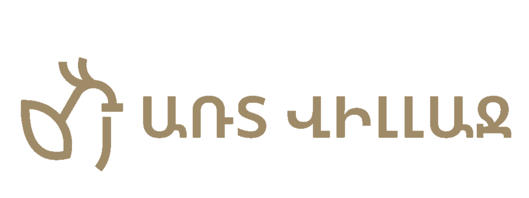 ԱՌՏ ՎԻԼԼԱՋ 