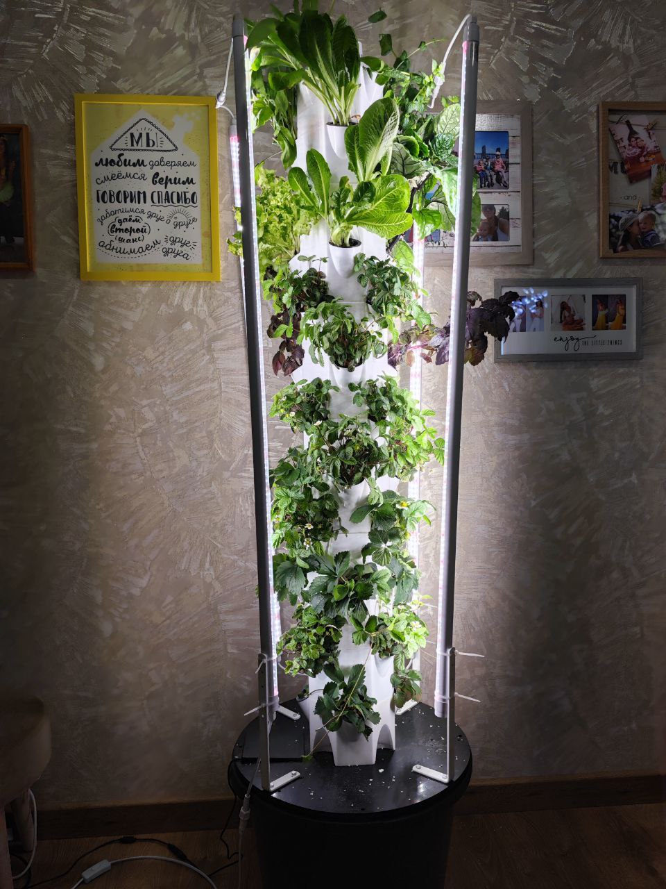 Агробашня Березка