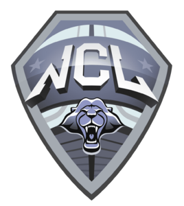 website icon