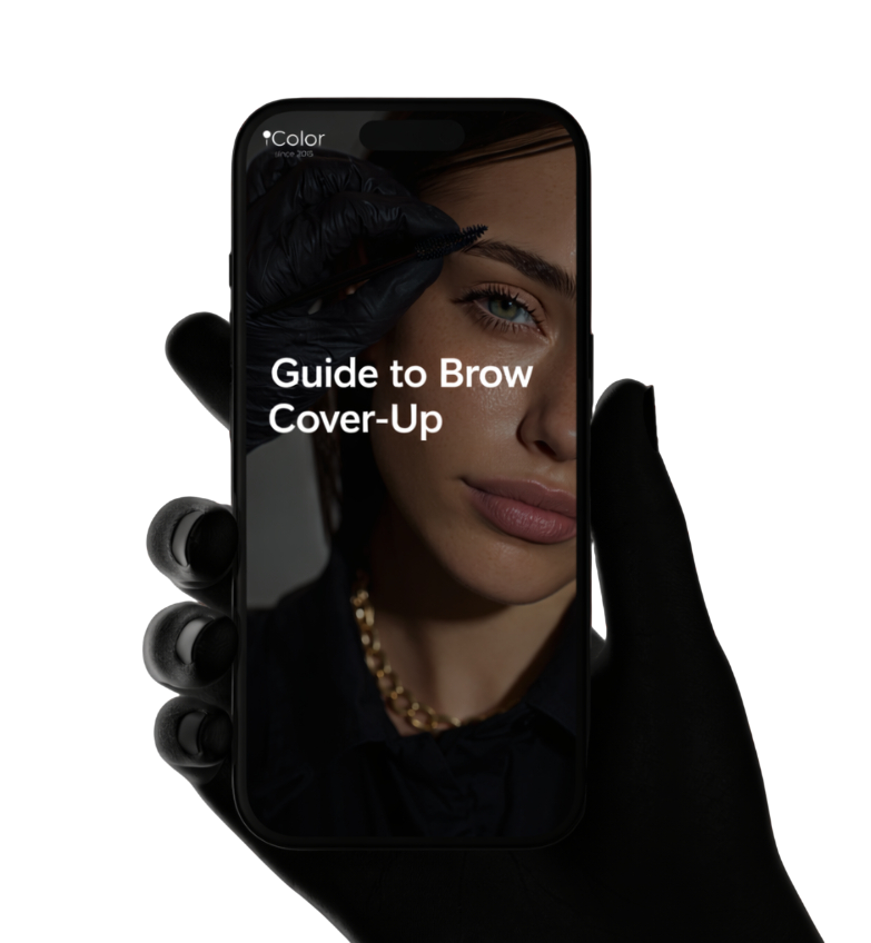 Guide image