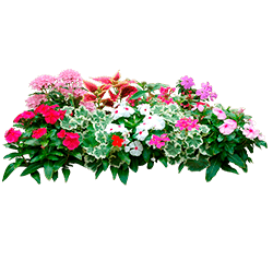 Нормы внесения Гумифулин и Органол для цветов