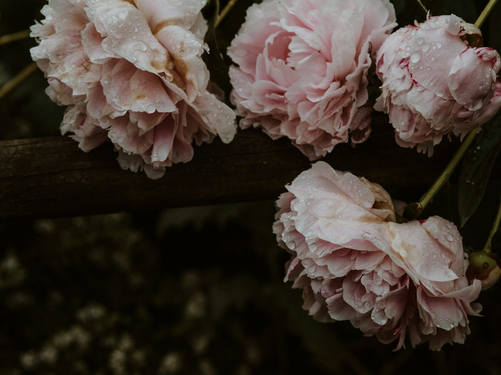 Luxury peony bouquet