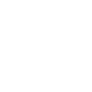 website icon