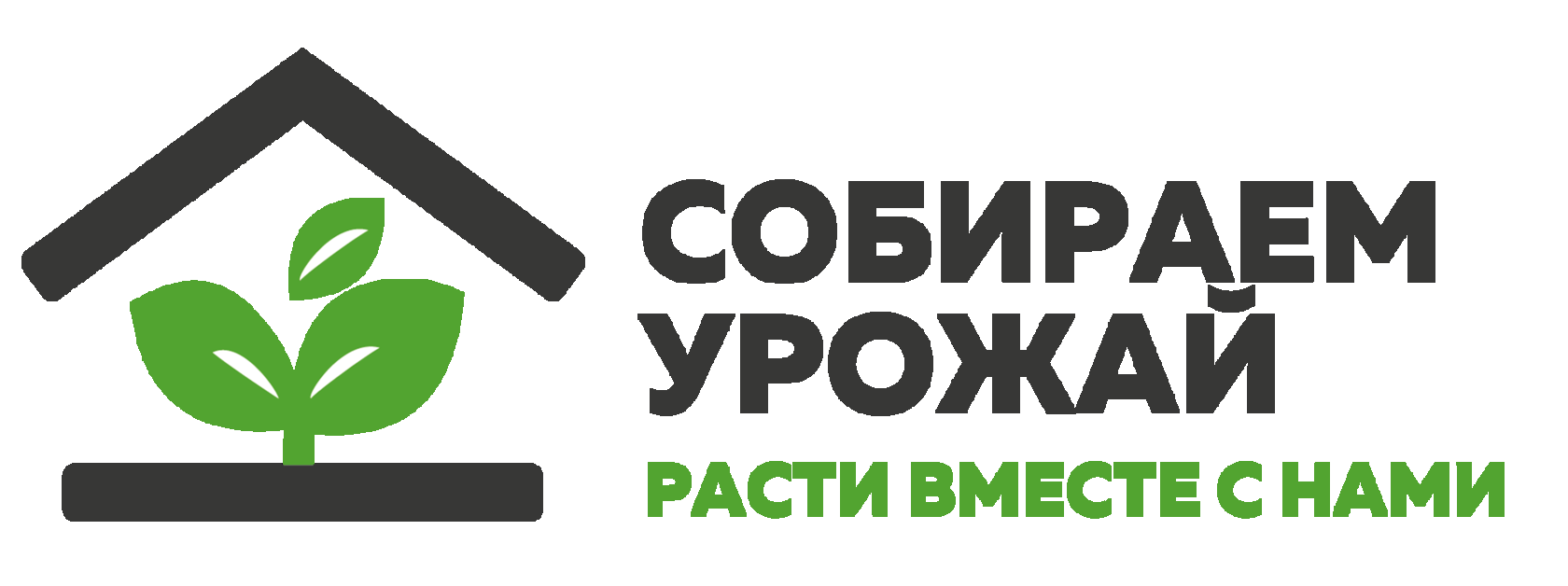 Собираем урожай