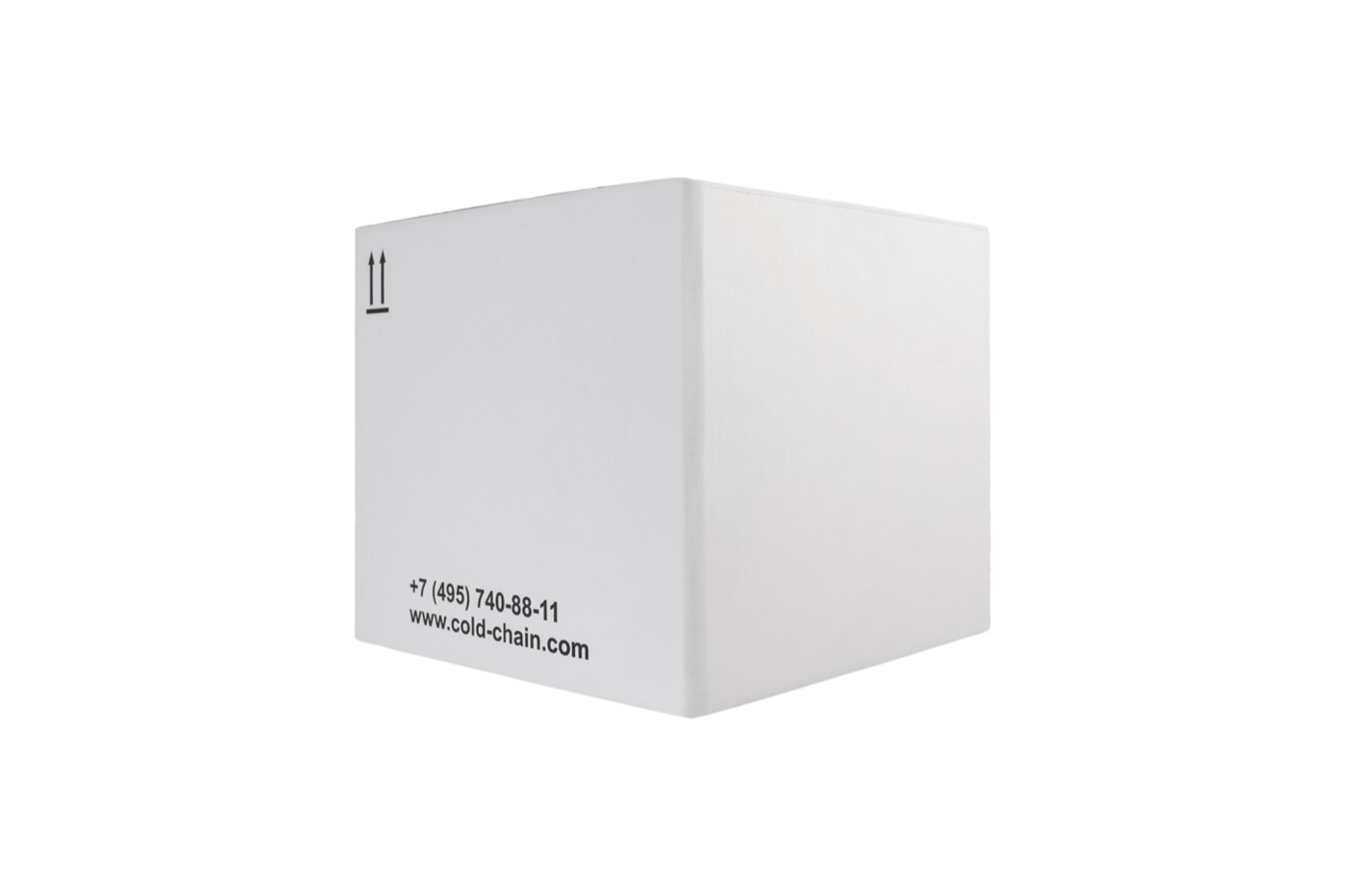 Medical thermal containers, cold elements, heat indicators