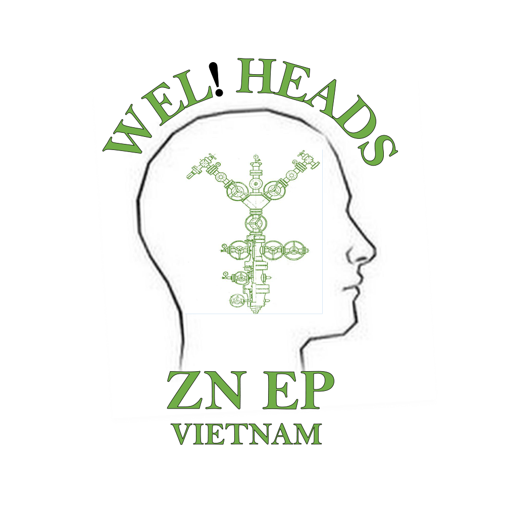 NESTRO BRAIN - «Wel! Heads», команда «ZN EP Vietnam», Вьетнам