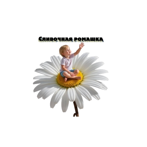 Сливочная Ромашка