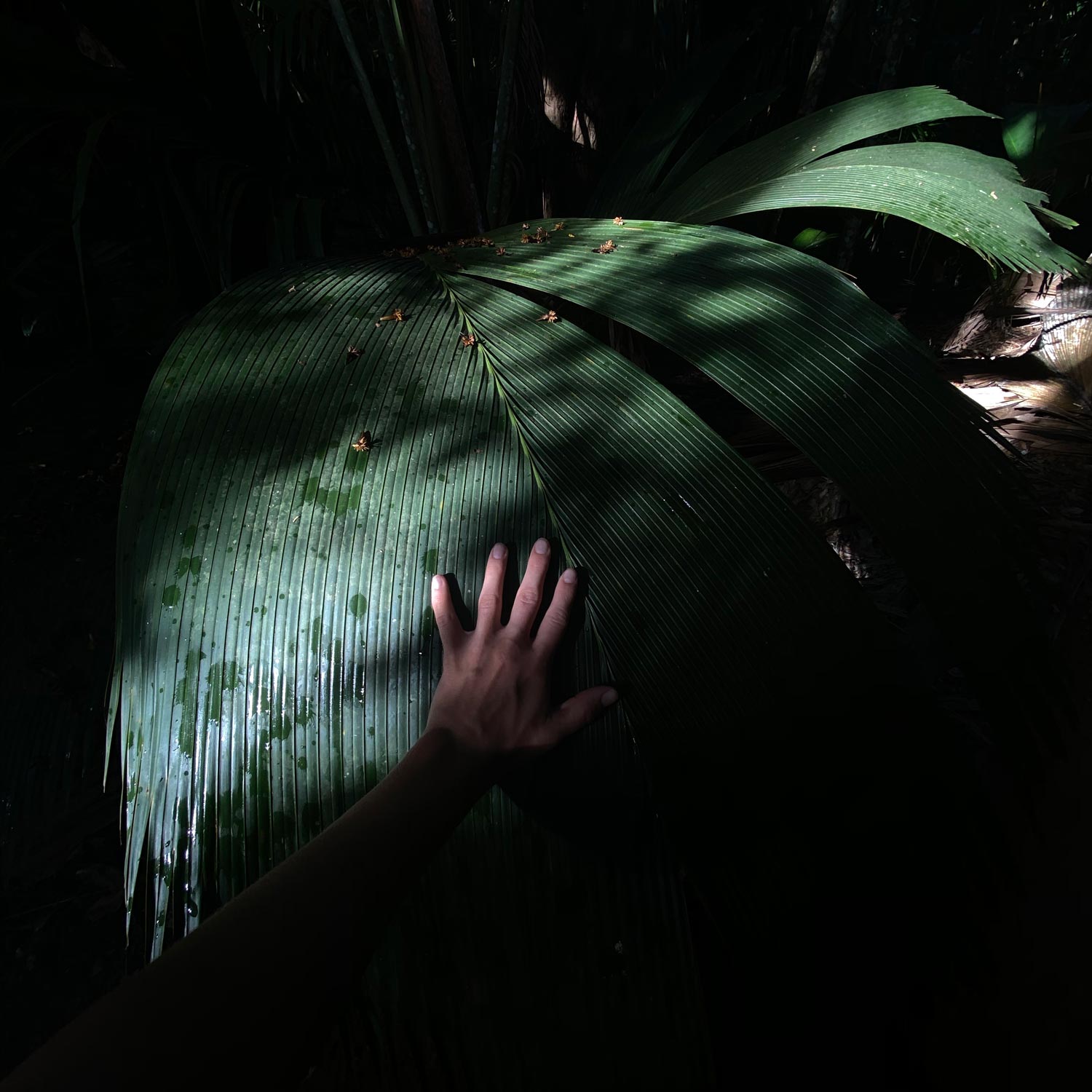 Экспедиция по островам Таиланда