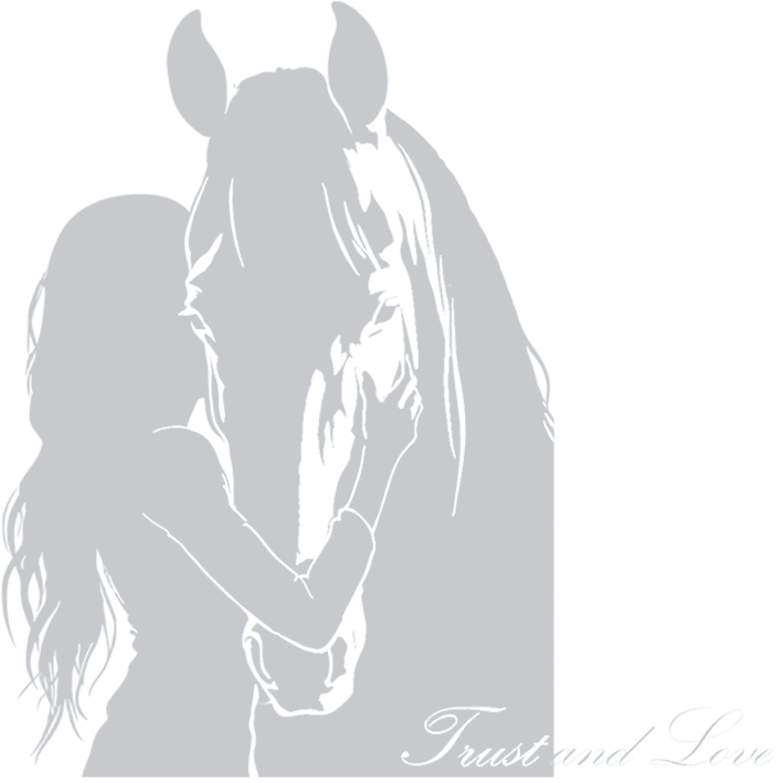 Подкормка для лошадей Trust and love