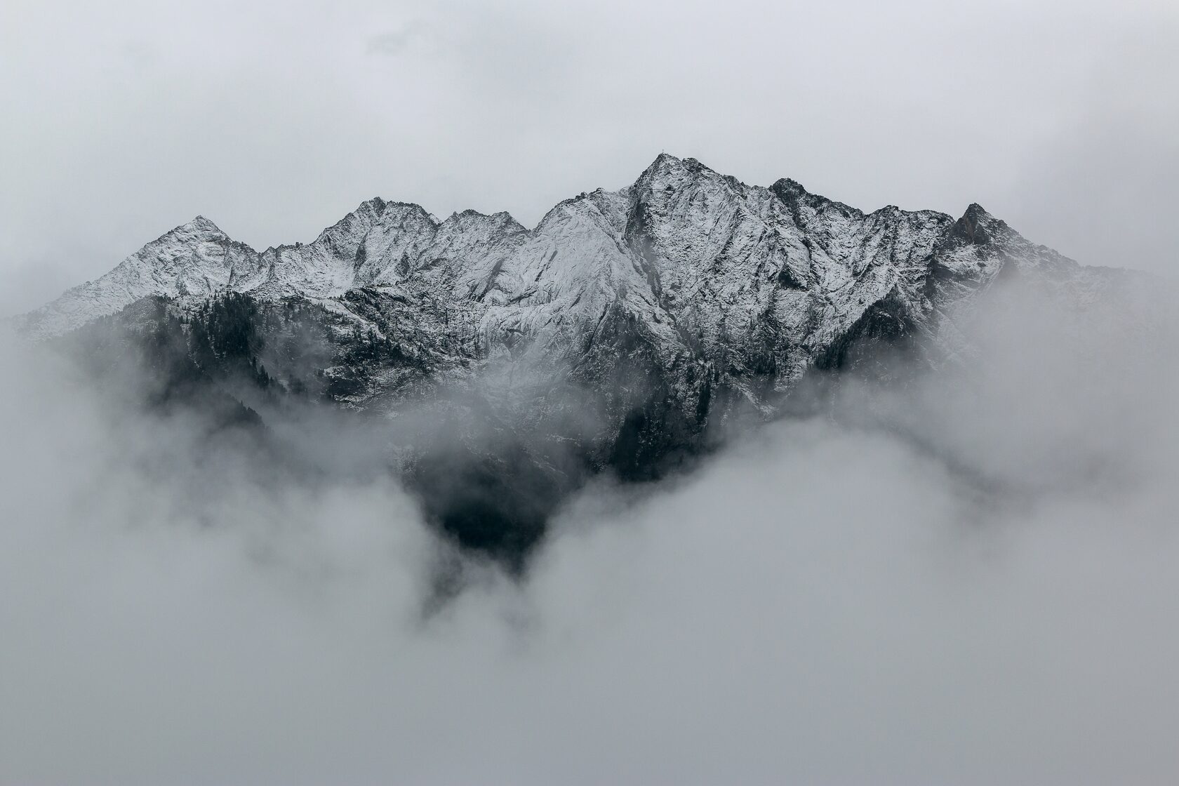 Курсы черно белой фотографии