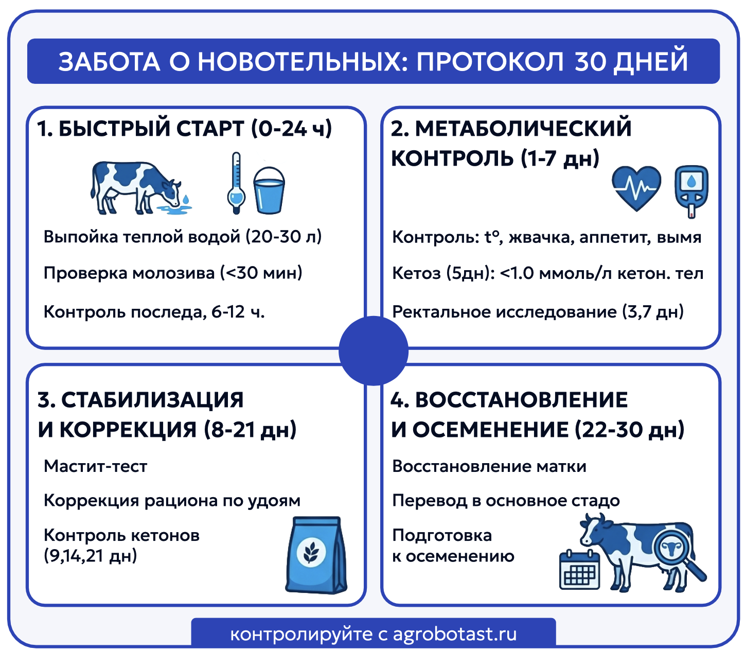 Инфографика протокола ухода за новорожденным теленком с рекомендациями по выпойке и ветеринарной обработке