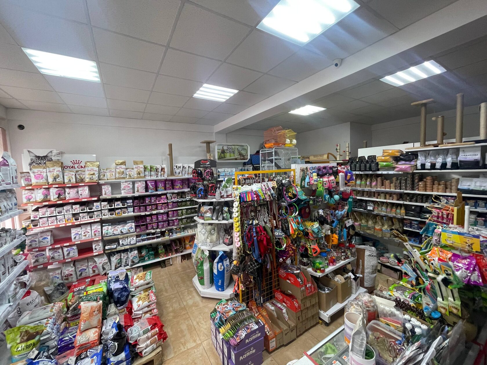 Получение лицензии