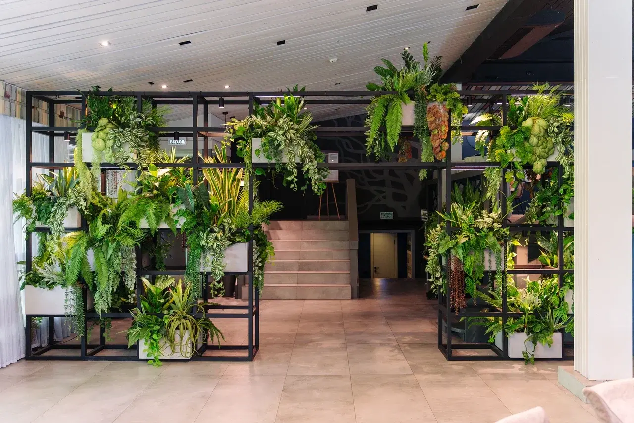 премиум озеленение, фитодизайн под ключ, озеленение ресторана под ключ