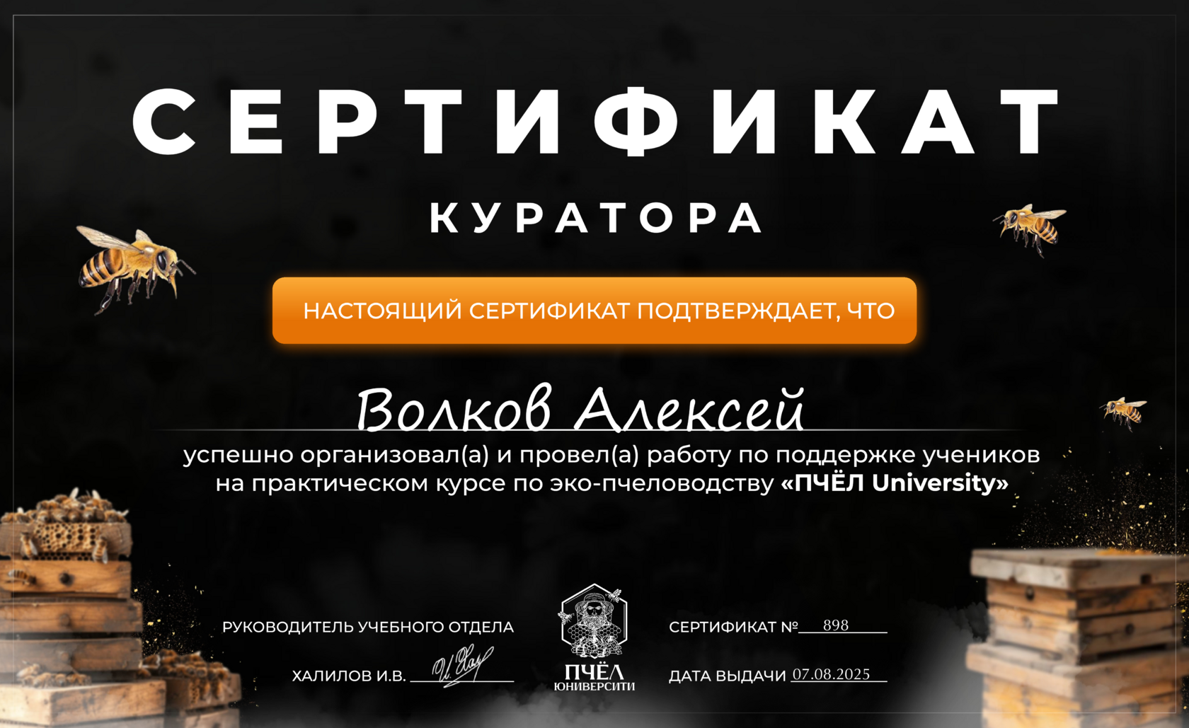 Волков Алексей Валерьевич куратор обучения ПчёлУниверсити