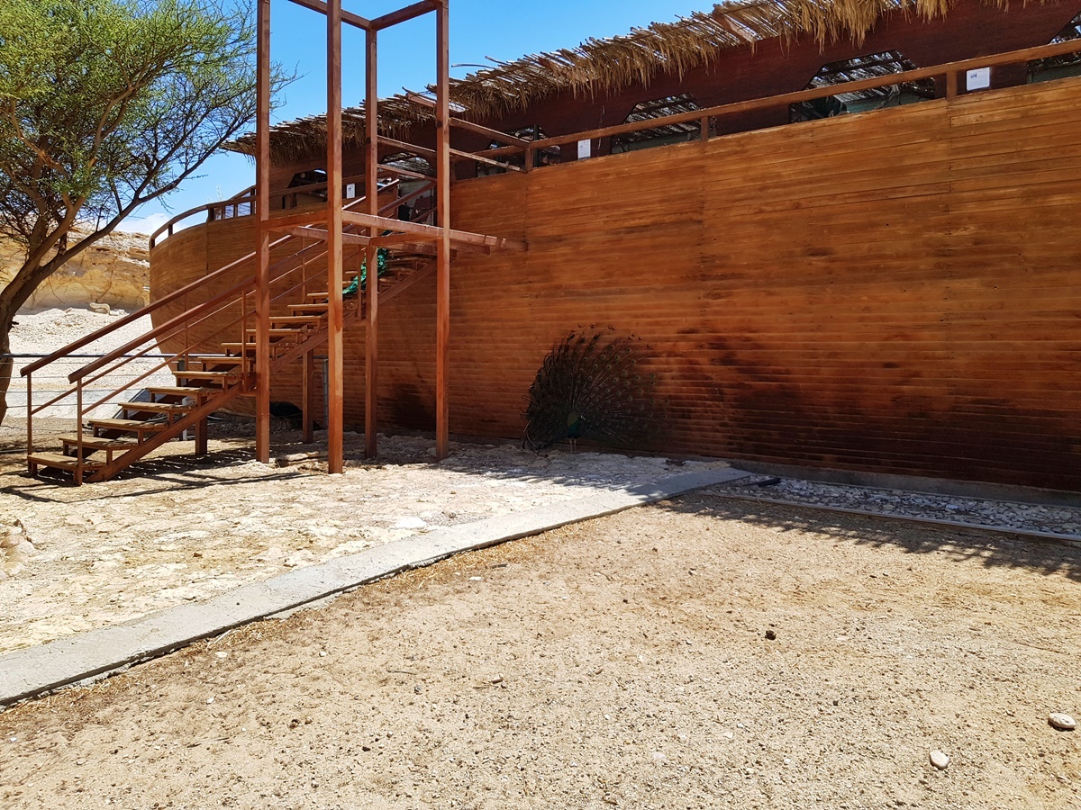 Ноев ковчег и сафари, Парк Антилоп, Израиль.