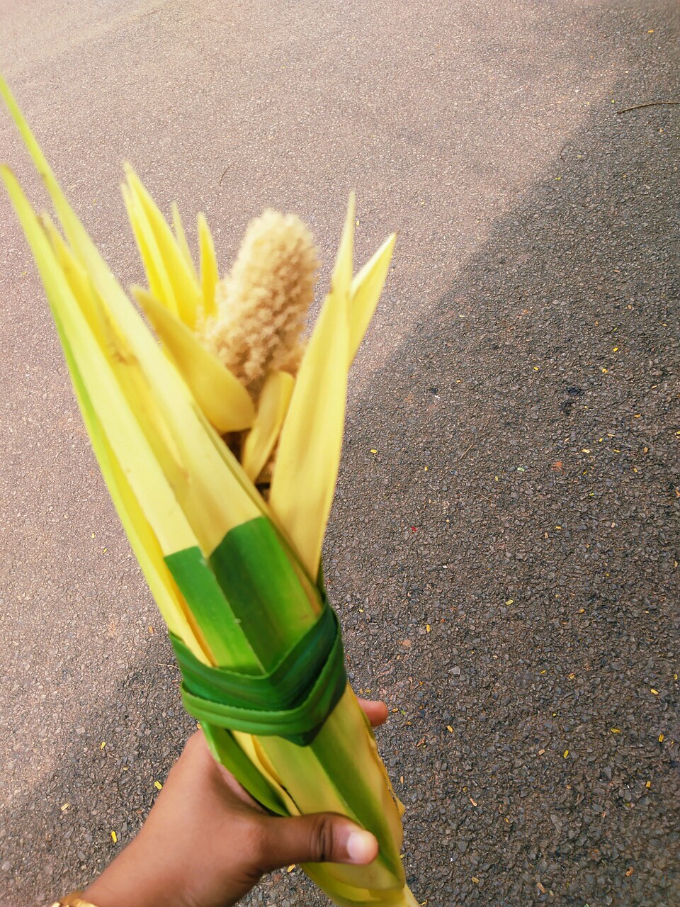 Цветок Кетаки Кевда Pandanus odorifer с длинными листьями