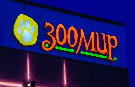 Световые объемные буквы