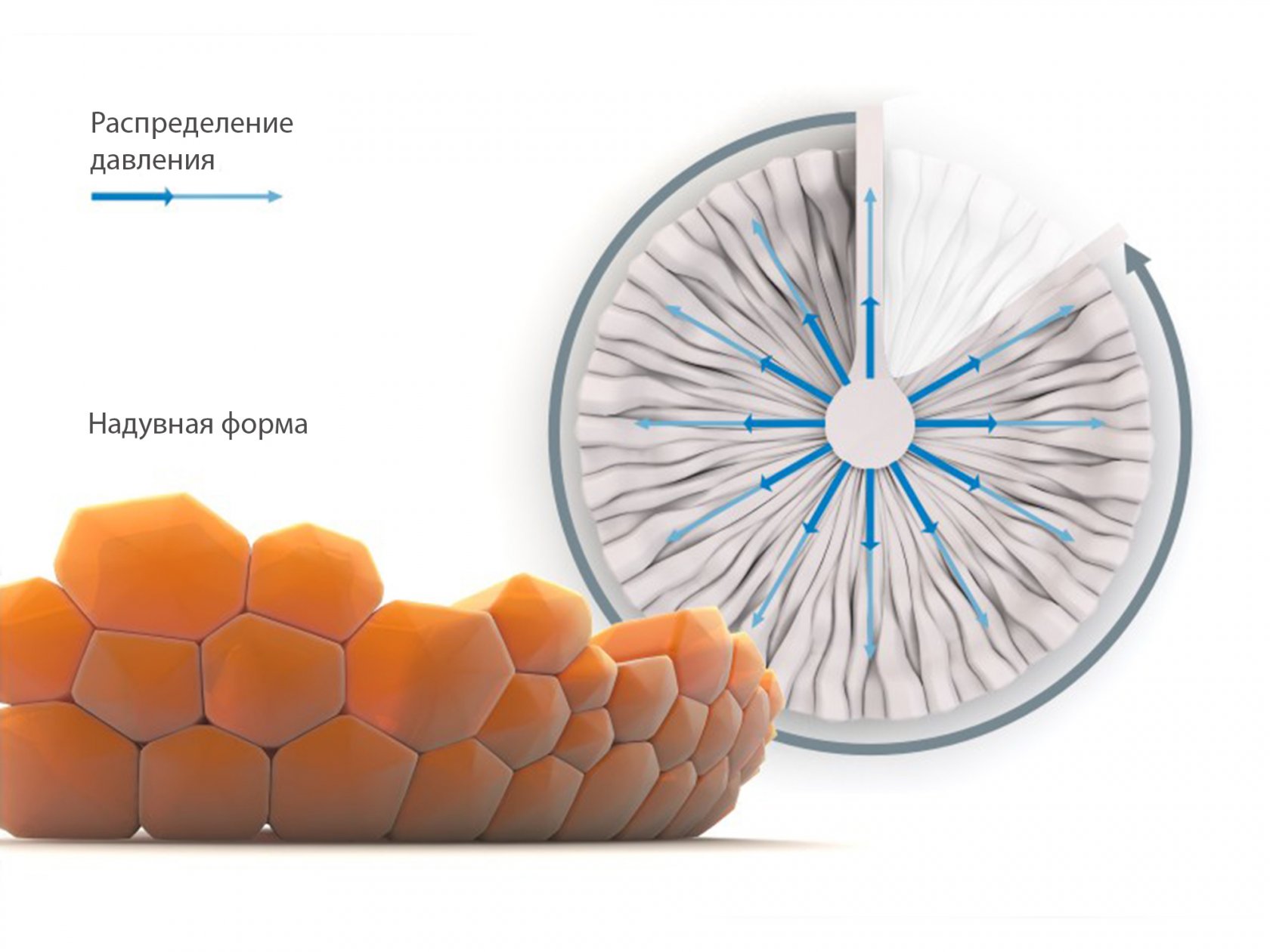 Designed cells. Идеи для промышленного дизайна.