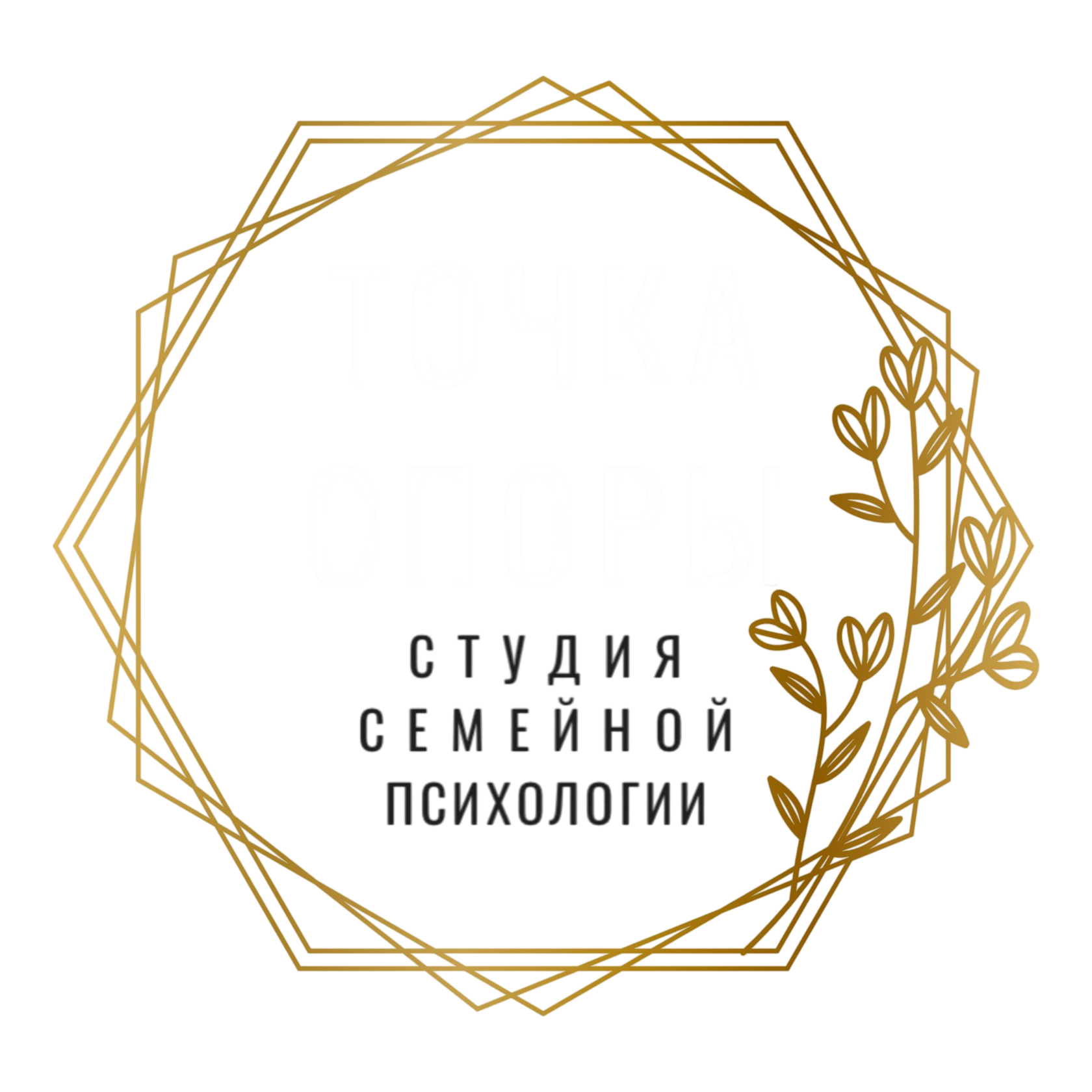  Студия семейной психологии 