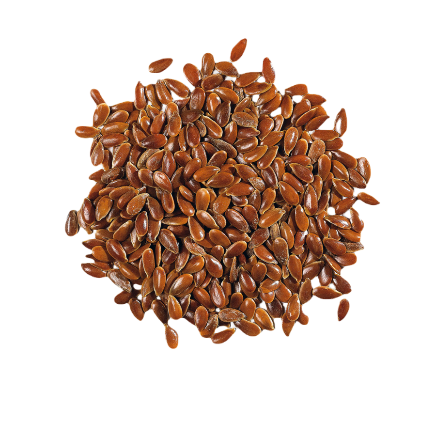 Льняное семя (бурый лен) 100г. Лен масляничный семена. Семя льна масличного(Flaxseed). Коричневые семена.