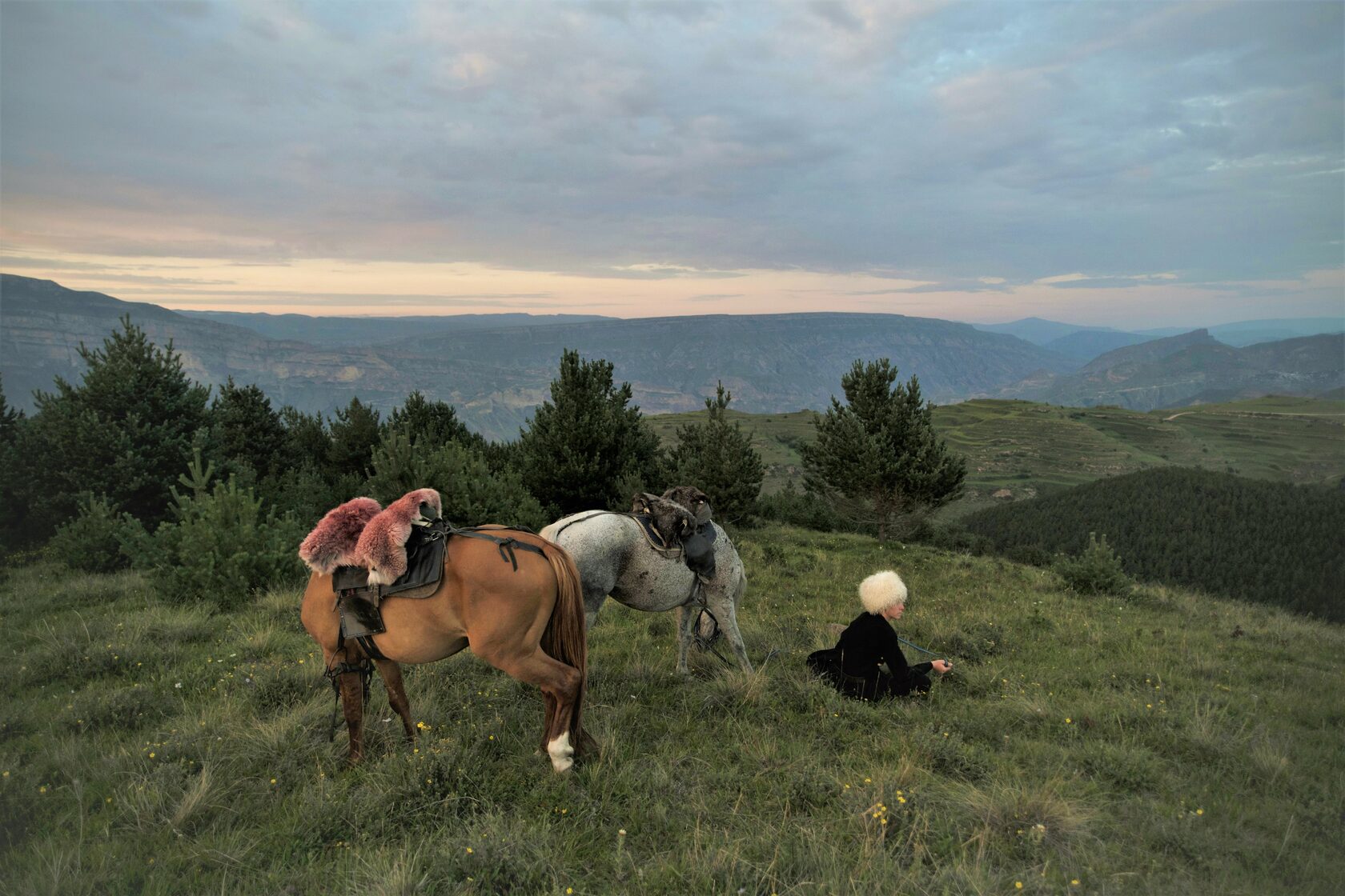 Черемша в дагестане фото