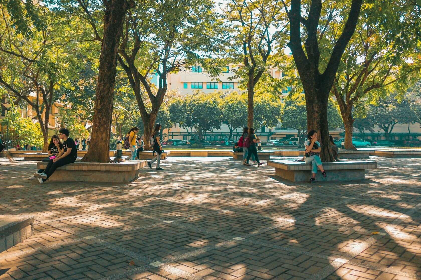 Students on the Chongqing University campus