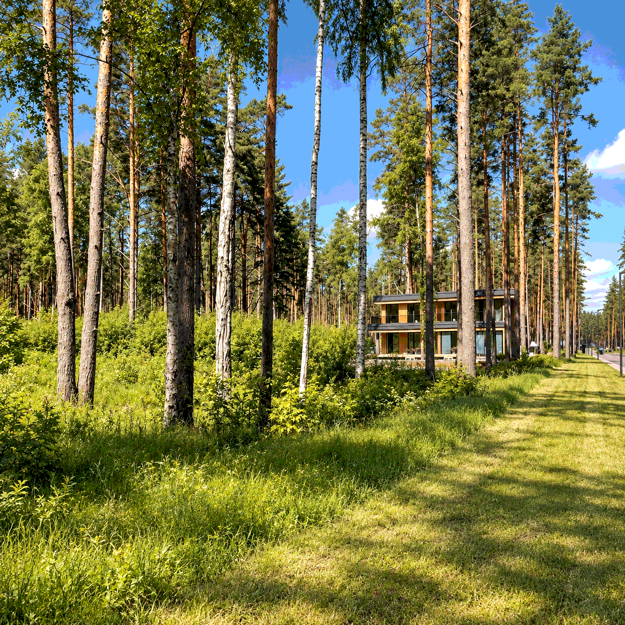 Старт строительства VILLA MILEA