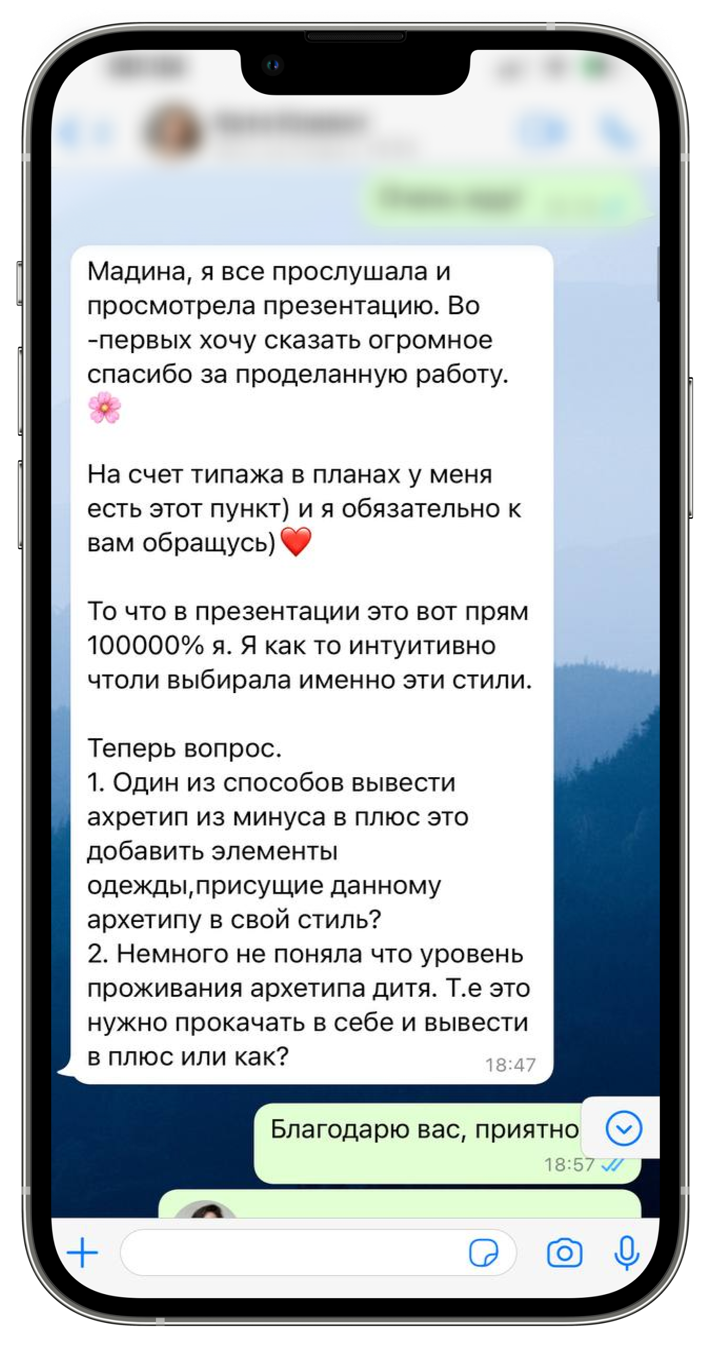 Мадина Менчинская, персональный стилист, стилист, внешность, имидж, двин дарсон, Керол Пирсон, стиль, стильные образы, типаж, архетип, определение типажа, стиль по архетипам, разбор гардероба, капсула, шоппинг, шоппинг сопровождение, стилист онлайн, отзыв, отзыв клиента, клиент, результат работы