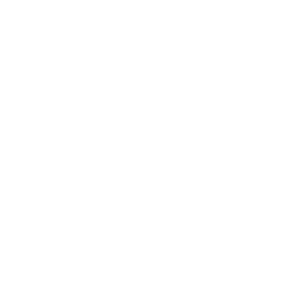 website icon