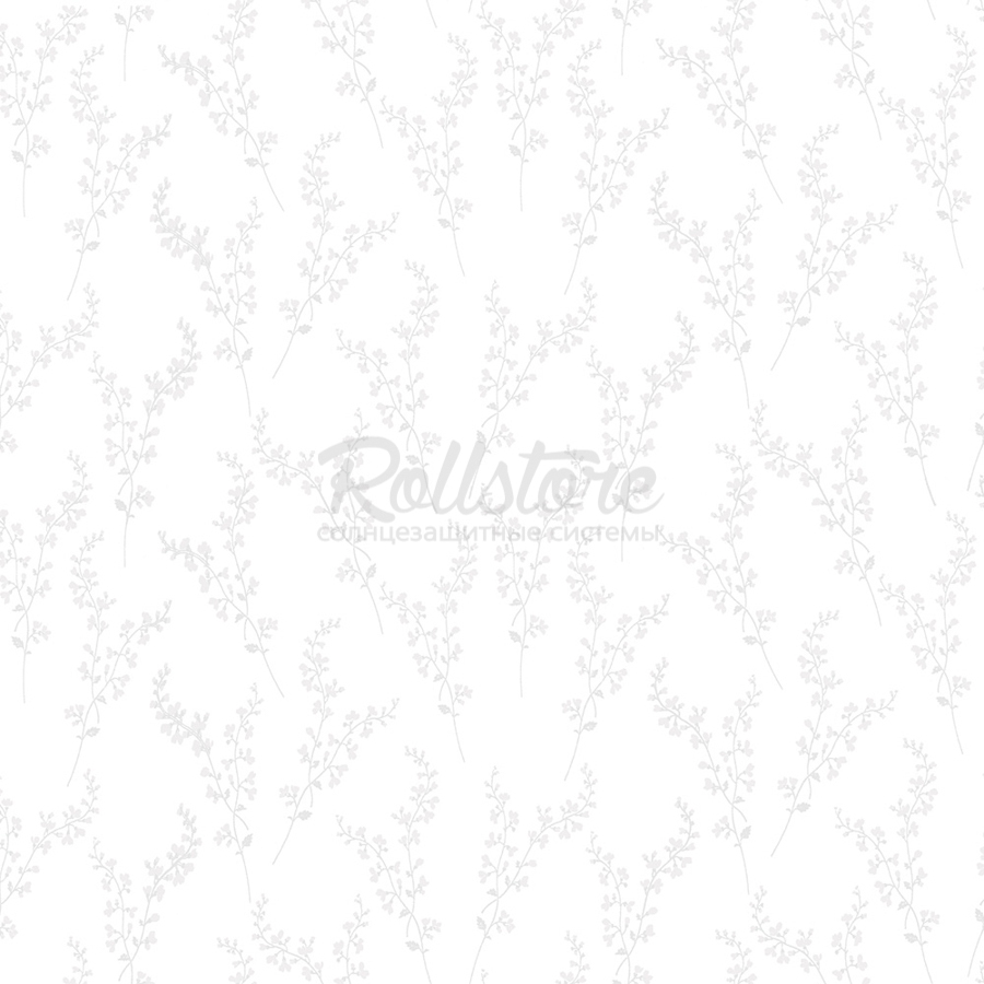 Анже апельсин