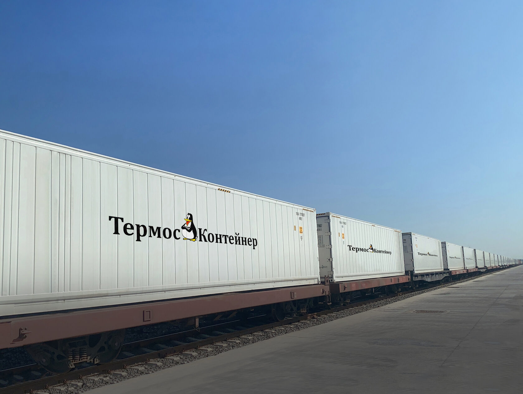 грузоперевозки в рефрижераторных контейнерах 