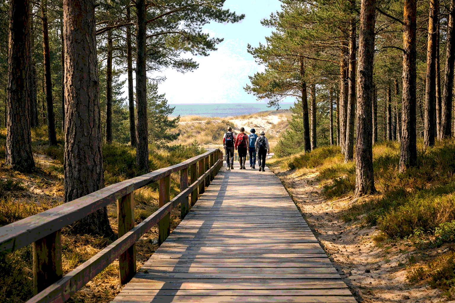 экотропа Куршская коса прогулка экскурсии Калининград