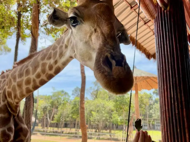 Фукуока Тур