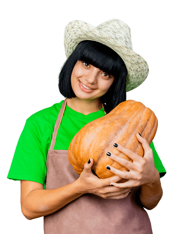 грядки из дпк размеры