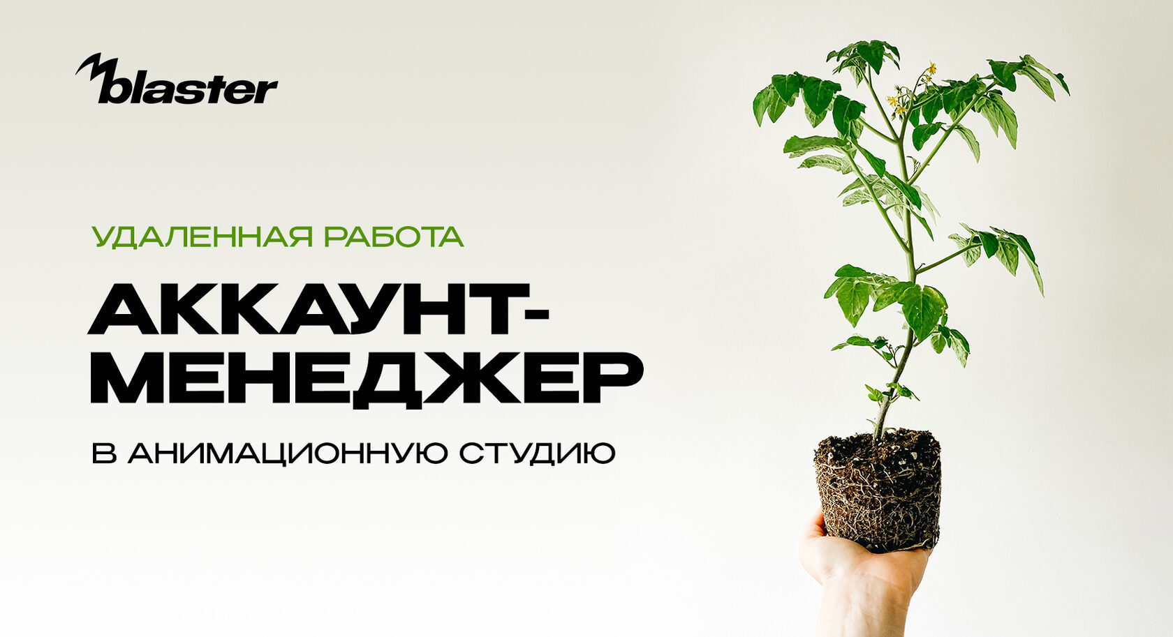 Менеджер По Продажам Удаленно Вакансии